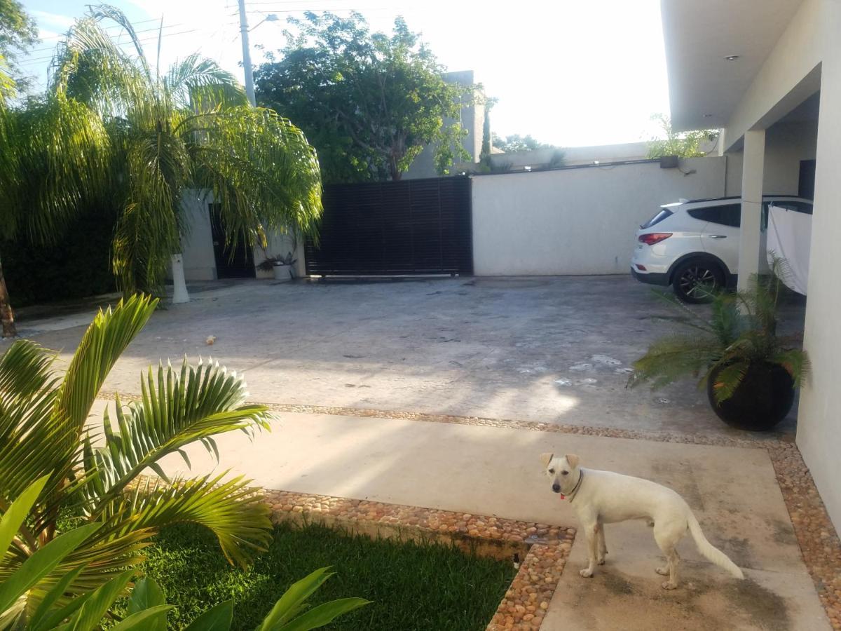 Casa Xcanatun Mérida Eksteriør bilde